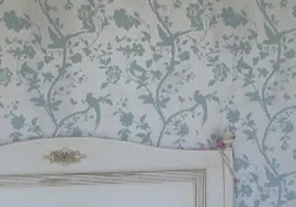 Decorative Painting in Naples, FL | Stallion Total Paint