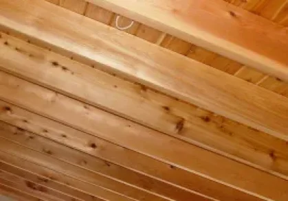 wood2b